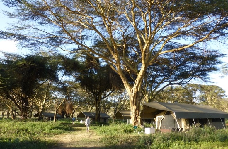 living-tent_med_hr